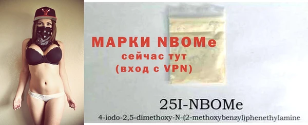 МДПВ Аша
