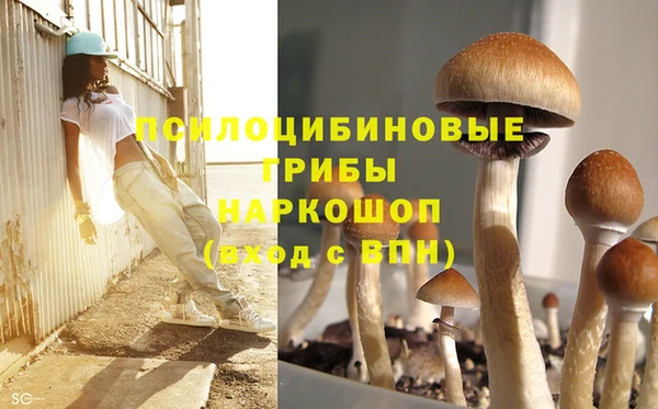 spice Абинск