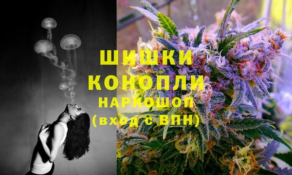 spice Абинск