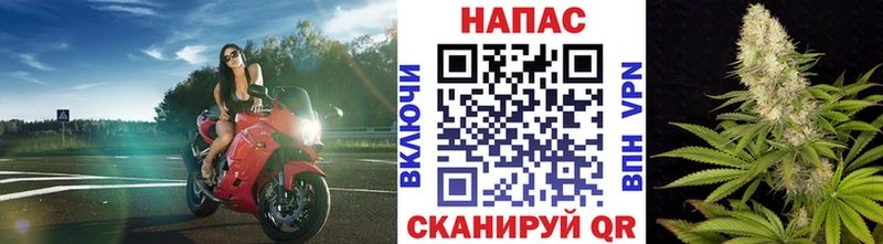 МАРИХУАНА сатива  нарко площадка наркотические препараты  Урень 